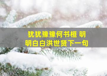 犹犹豫豫何书桓 明明白白洪世贤下一句